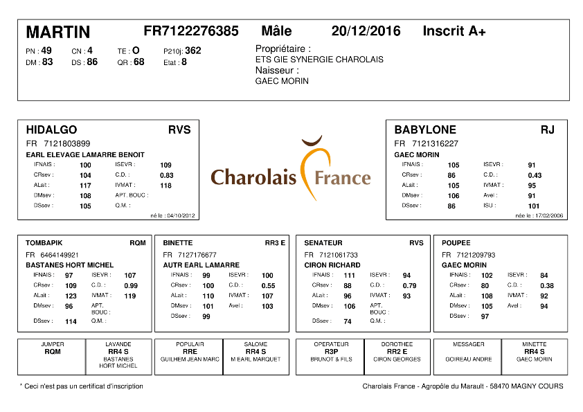 genealogie taureau charolais MARTIN