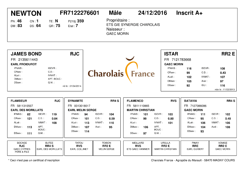 genealogie taureau charolais NEWTON
