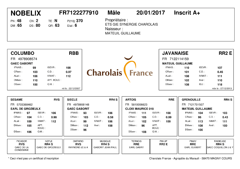 genealogie taureau charolais NOBELIX