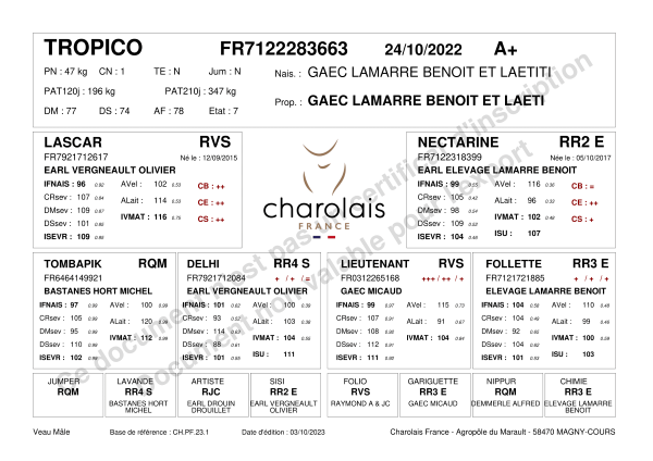 genealogie taureau charolais TROPICO