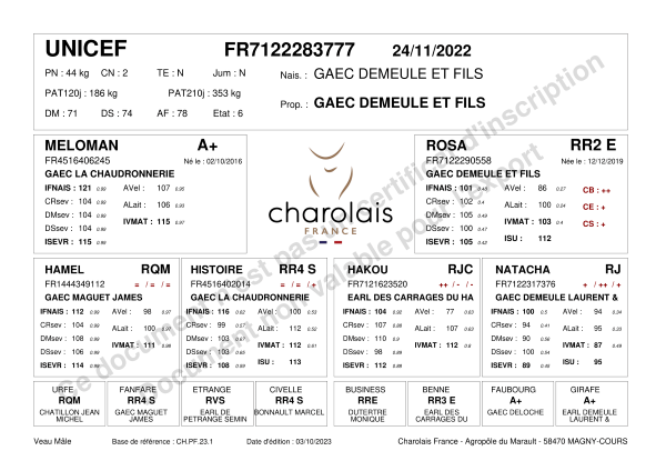genealogie taureau charolais UNICEF