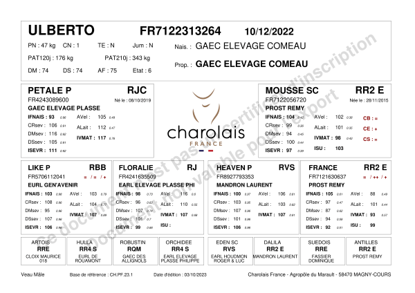 genealogie taureau charolais ULBERTO