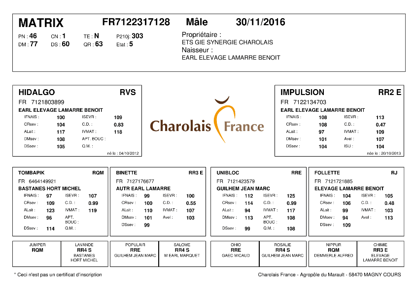 genealogie taureau charolais MATRIX