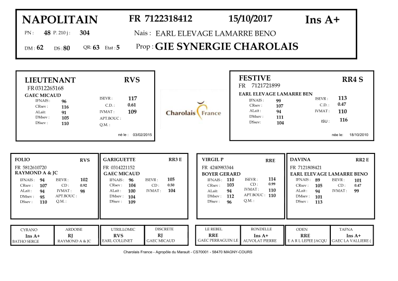 genealogie taureau charolais NAPOLITAIN