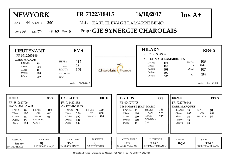 genealogie taureau charolais NEWYORK