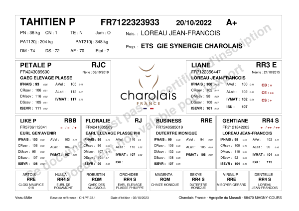 genealogie taureau charolais TAHITIEN P