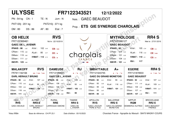 genealogie taureau charolais ULYSSE