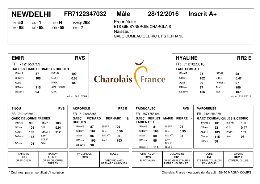 genealogie taureau charolais NEWDELHI