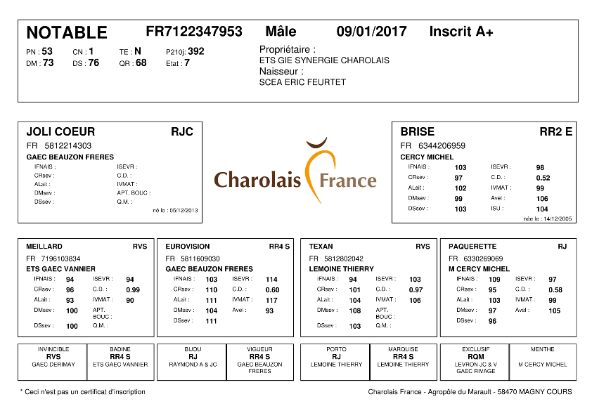 genealogie taureau charolais NOTABLE
