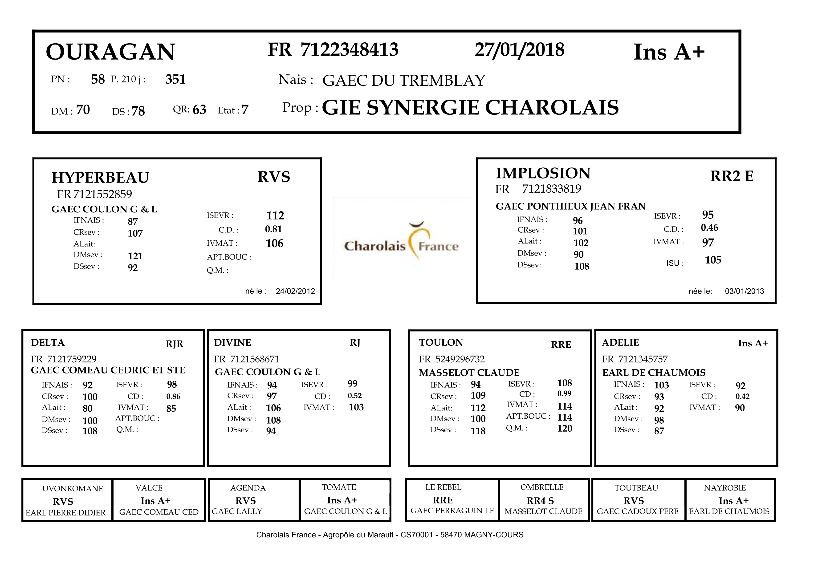 genealogie taureau charolais OURAGAN
