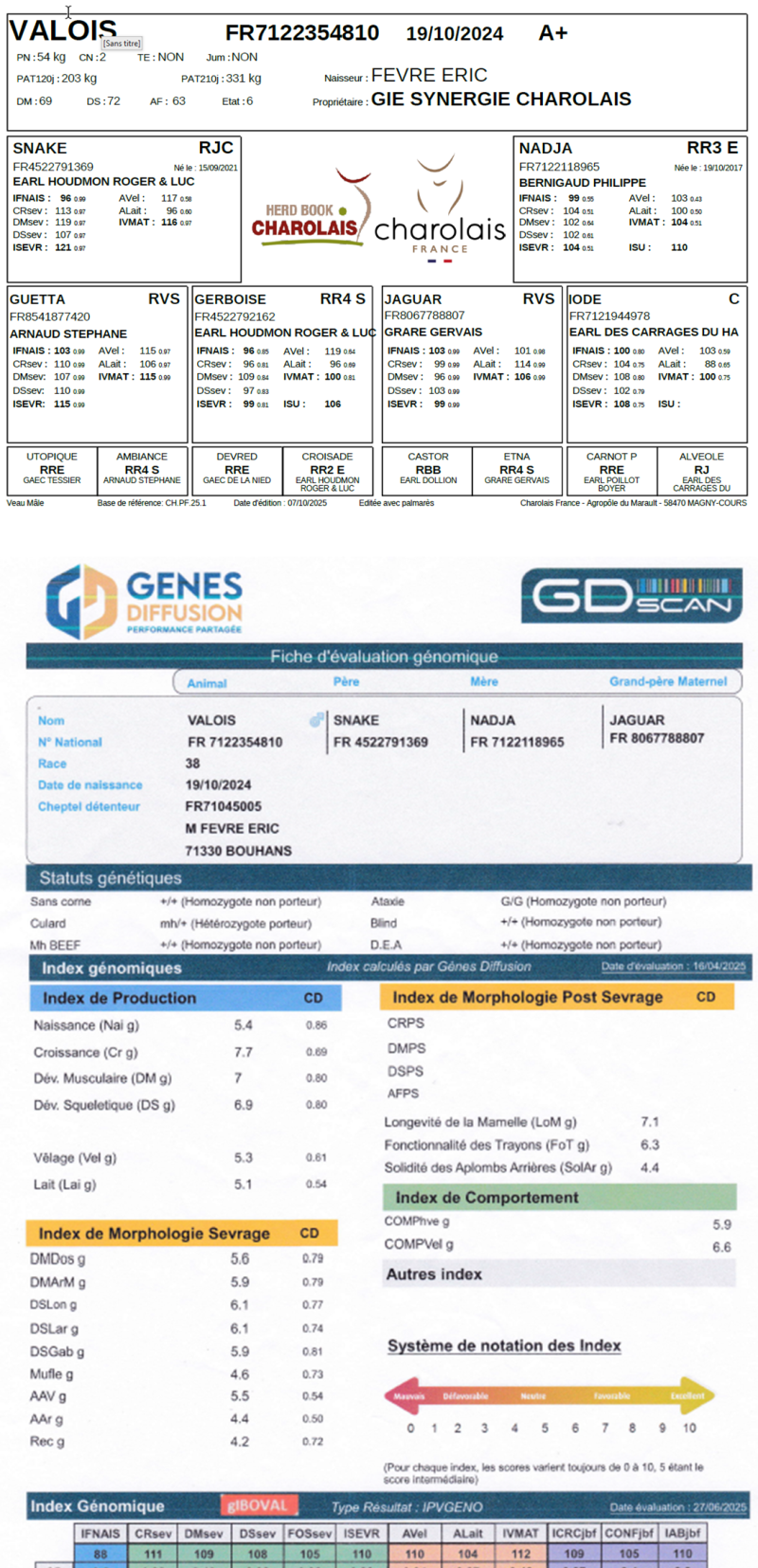 genealogie taureau charolais VALOIS