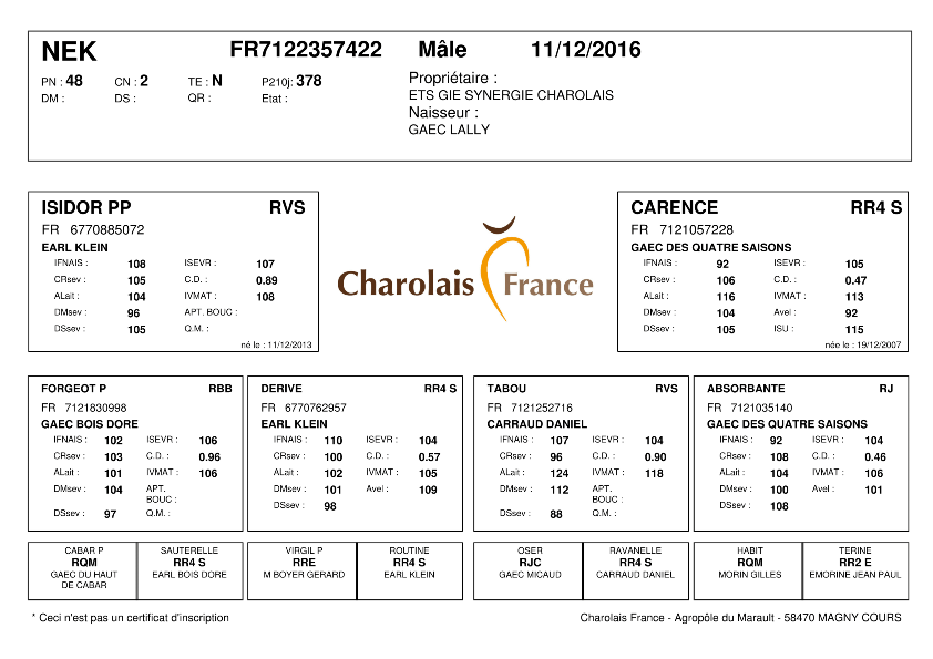 genealogie taureau charolais NEK