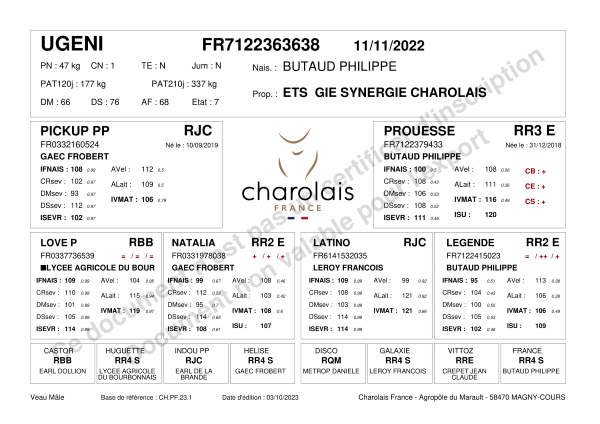 genealogie taureau charolais UGENI
