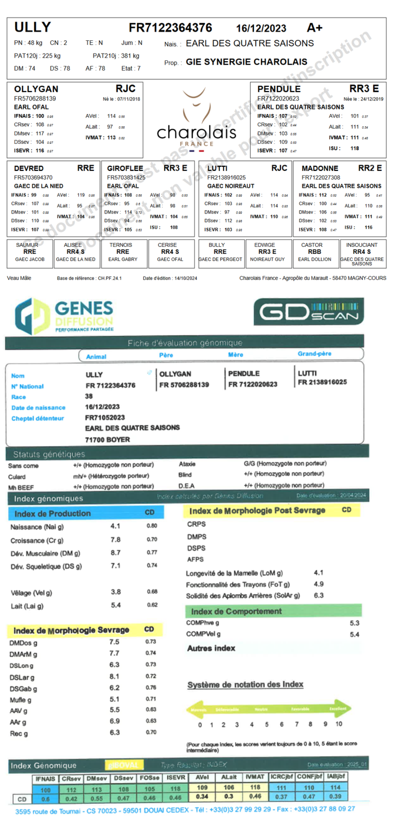 genealogie taureau charolais ULLY