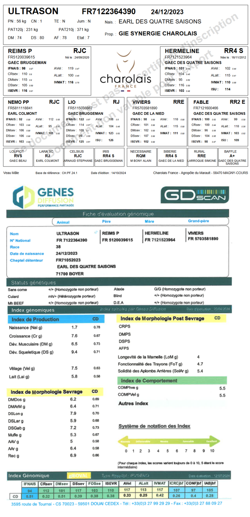 genealogie taureau charolais ULTRASON