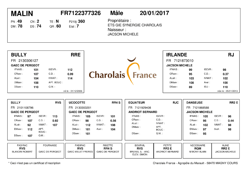 genealogie taureau charolais MALIN