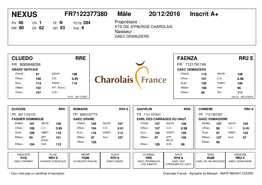 genealogie taureau charolais NEXUS