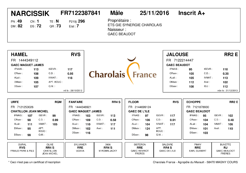 genealogie taureau charolais NARCISSIK
