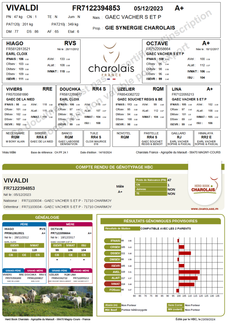 genealogie taureau charolais VIVALDI