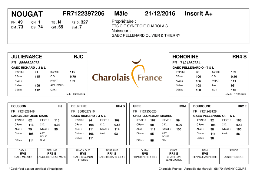 genealogie taureau charolais NOUGAT