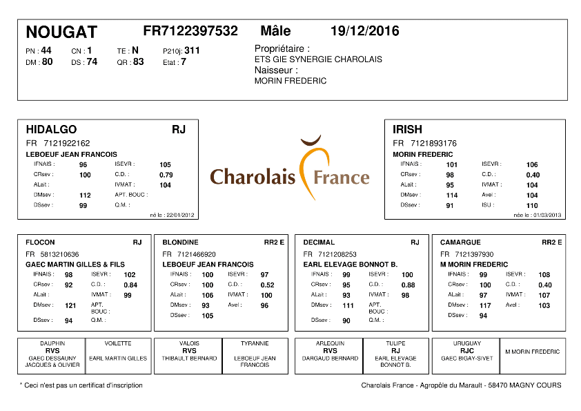 genealogie taureau charolais NOUGAT
