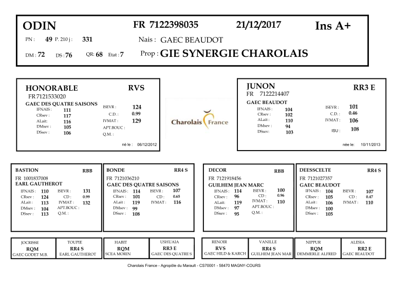 genealogie taureau charolais ODIN