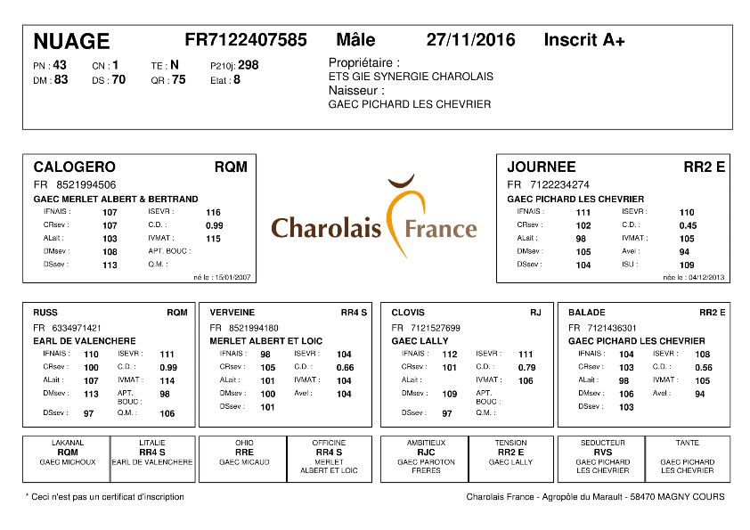 genealogie taureau charolais NUAGE