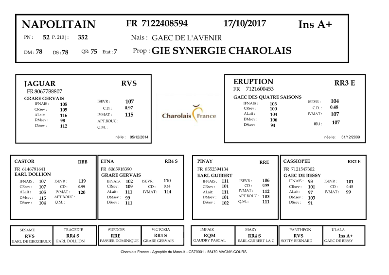 genealogie taureau charolais NAPOLITAIN