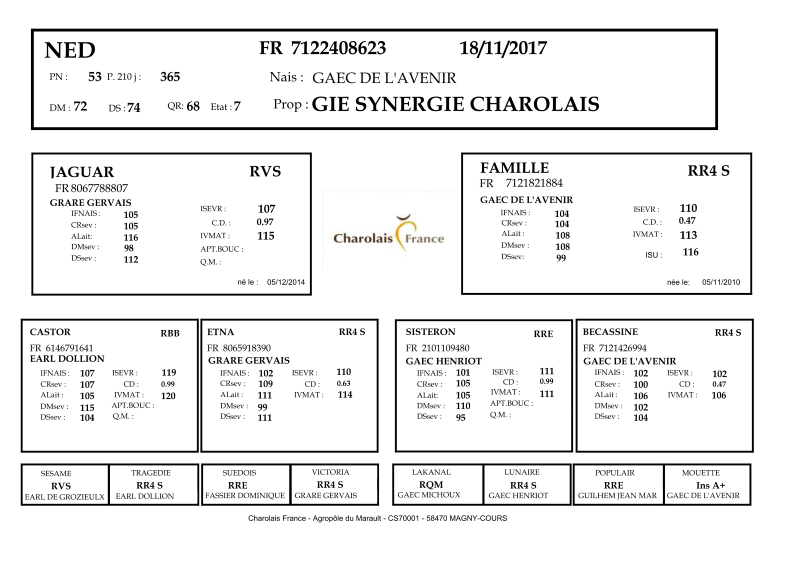 genealogie taureau charolais NED