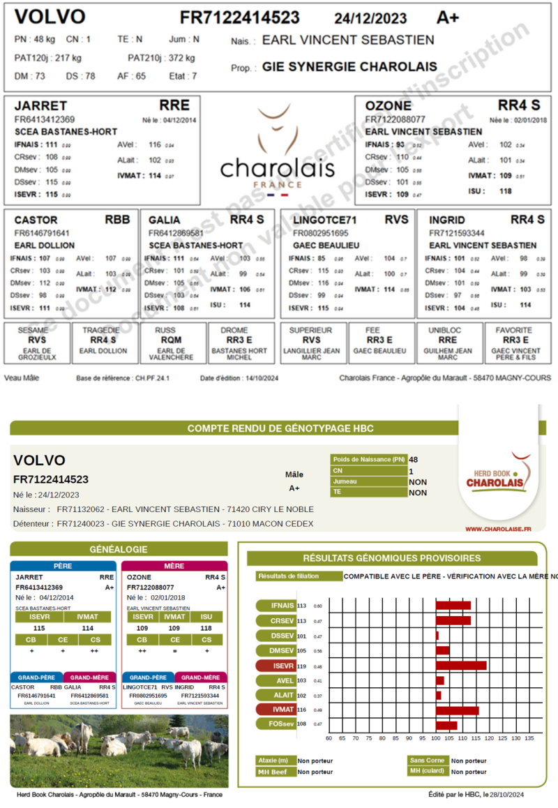 genealogie taureau charolais VOLVO
