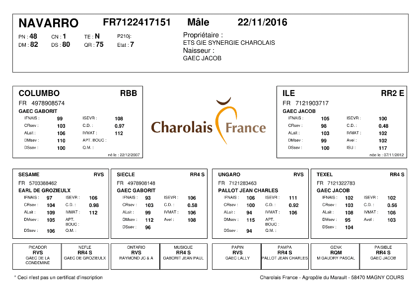 genealogie taureau charolais NAVARRO