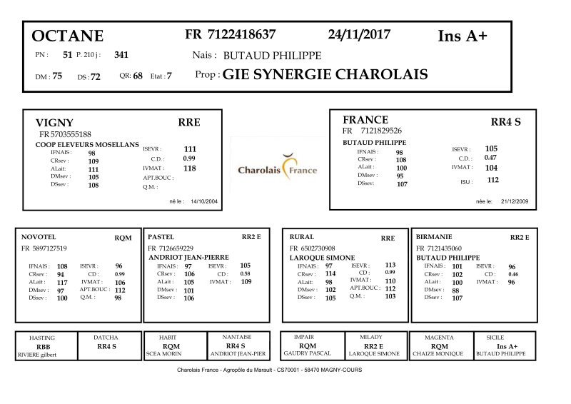 genealogie taureau charolais OCTANE