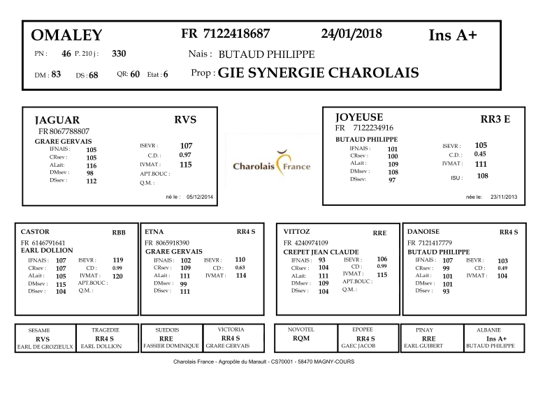 genealogie taureau charolais OMALEY