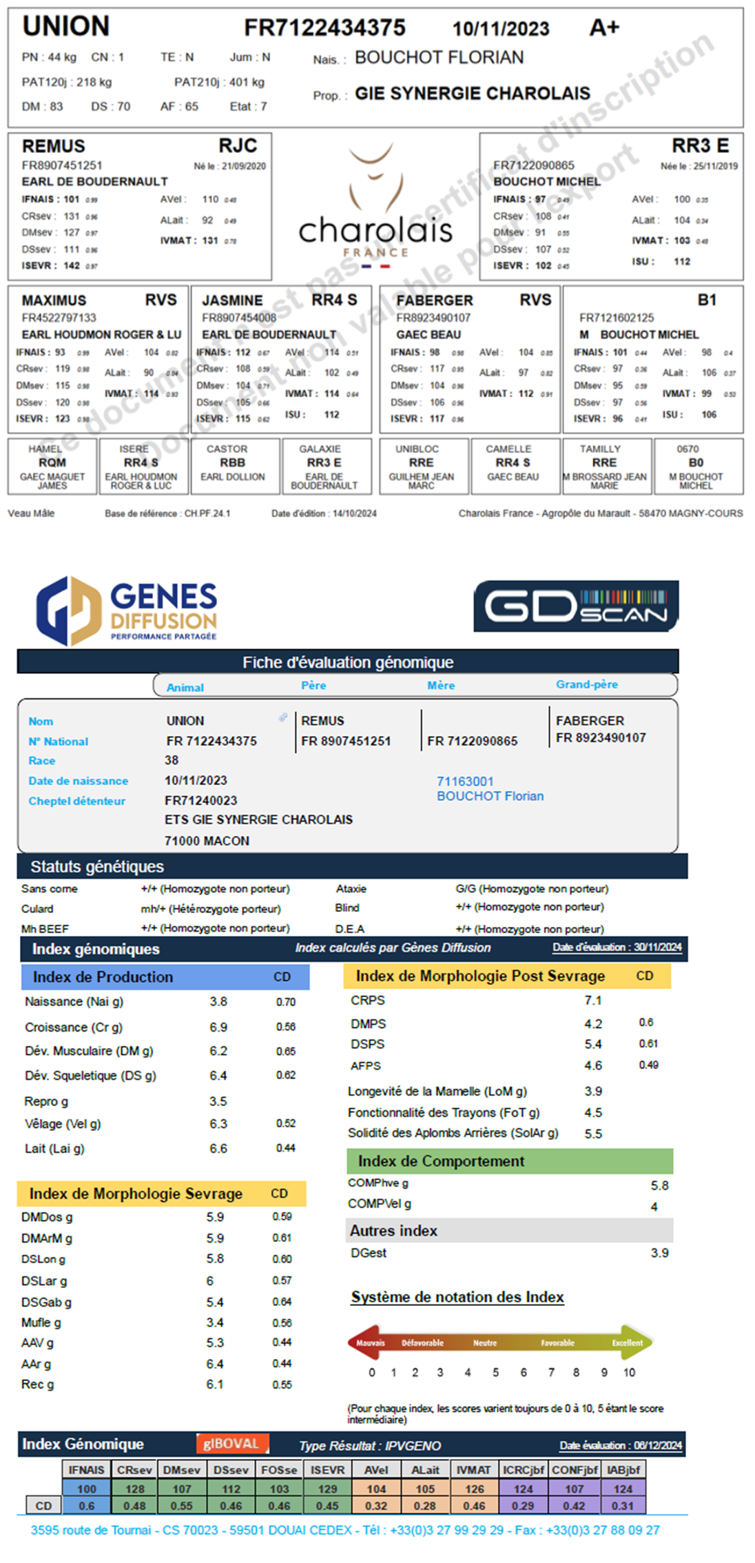 genealogie taureau charolais UNION