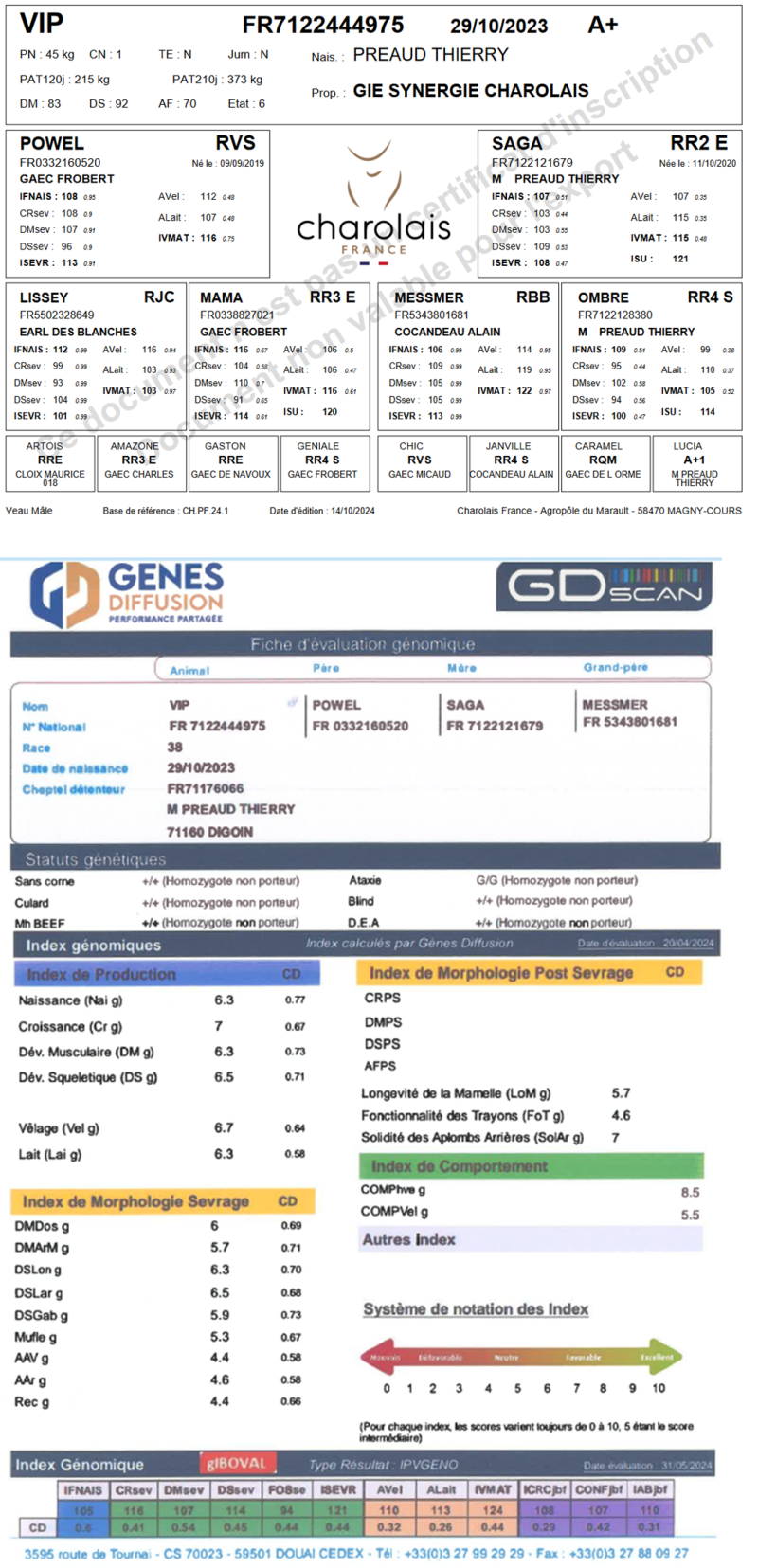 genealogie taureau charolais VIP