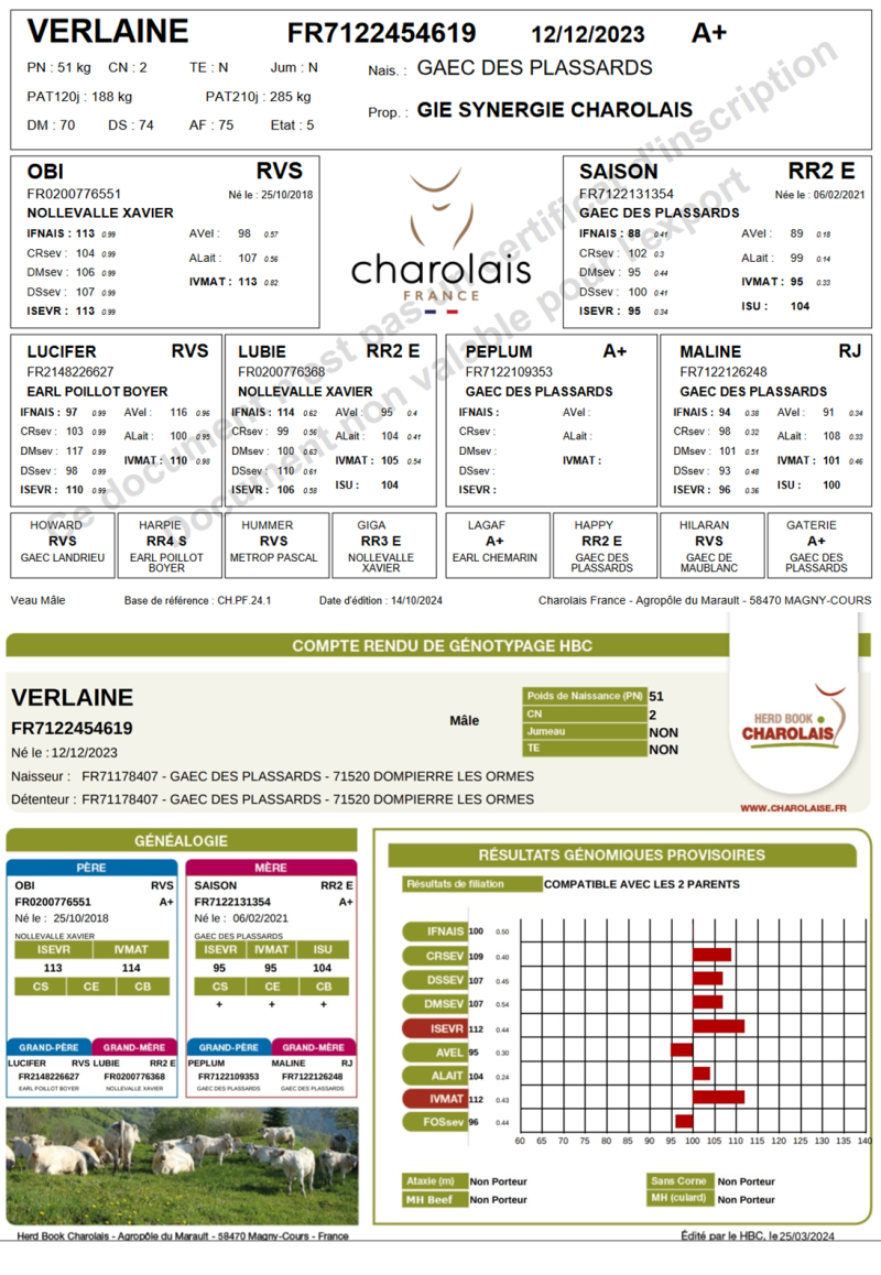 genealogie taureau charolais VERLAINE