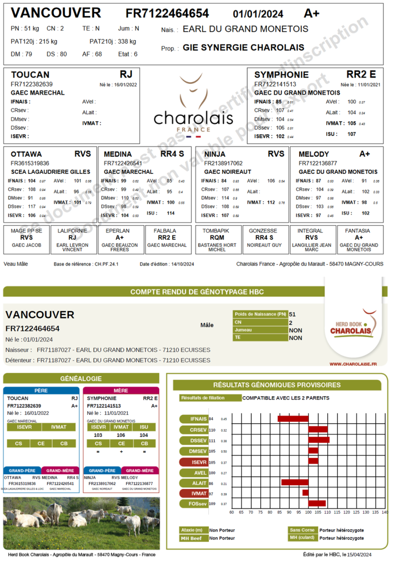 genealogie taureau charolais VANCOUVER