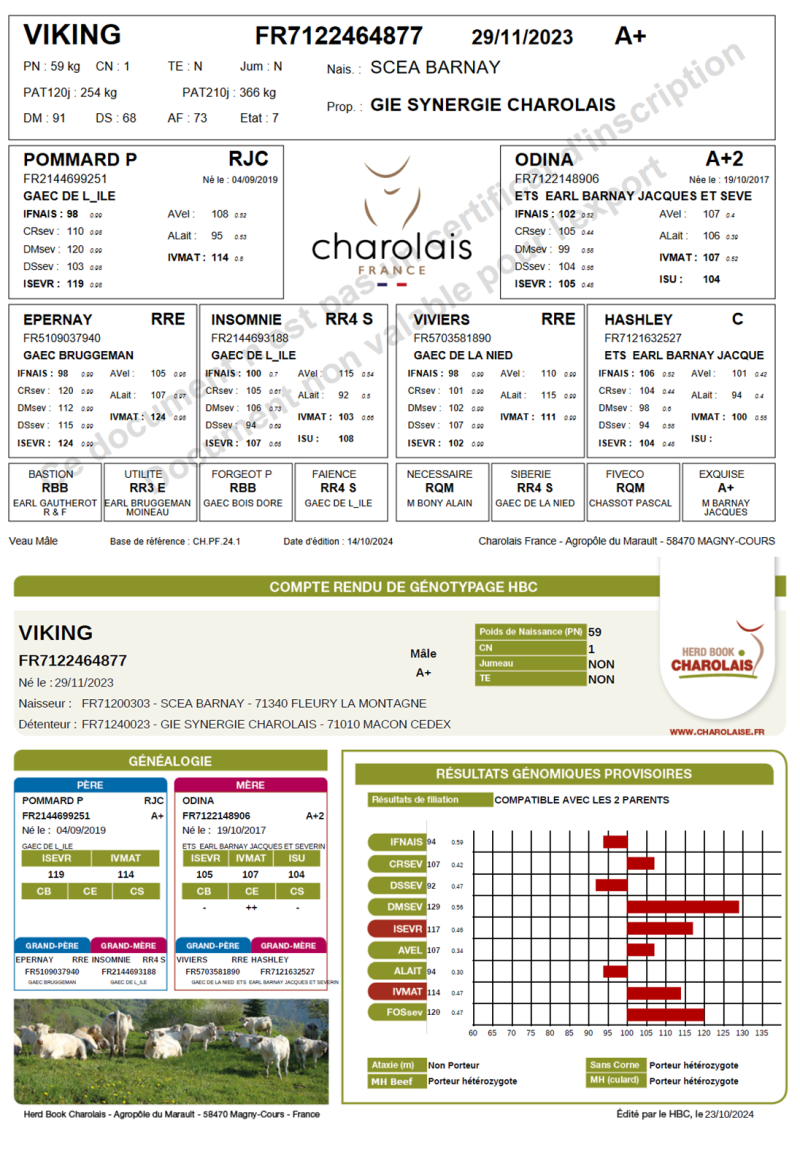 genealogie taureau charolais VIKING
