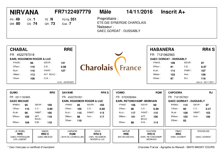 genealogie taureau charolais NIRVANA