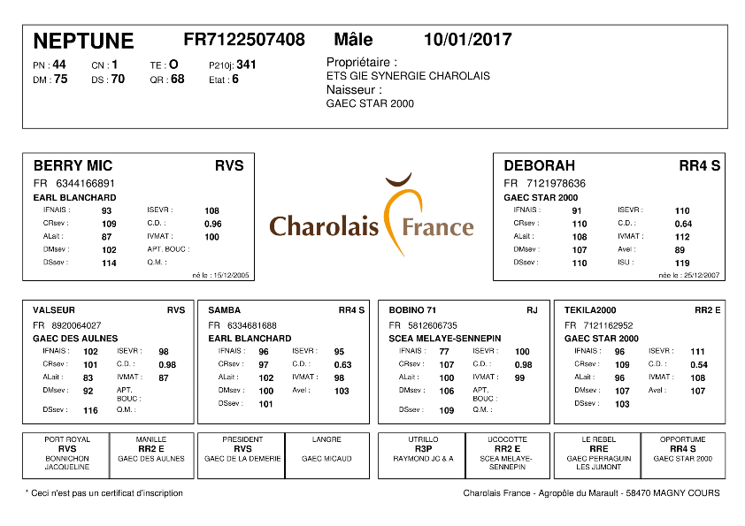 genealogie taureau charolais NEPTUNE