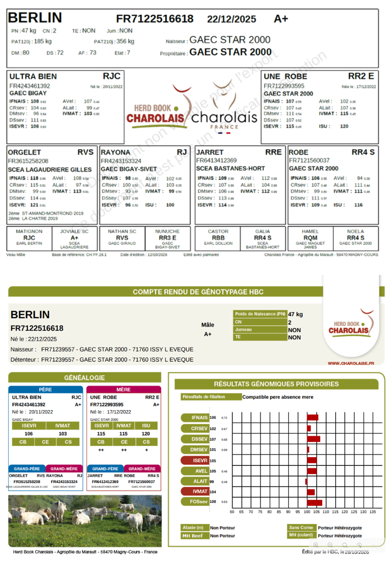 genealogie taureau charolais BERLIN    
