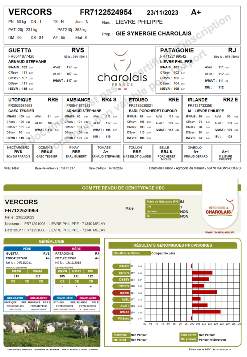 genealogie taureau charolais VERCORS