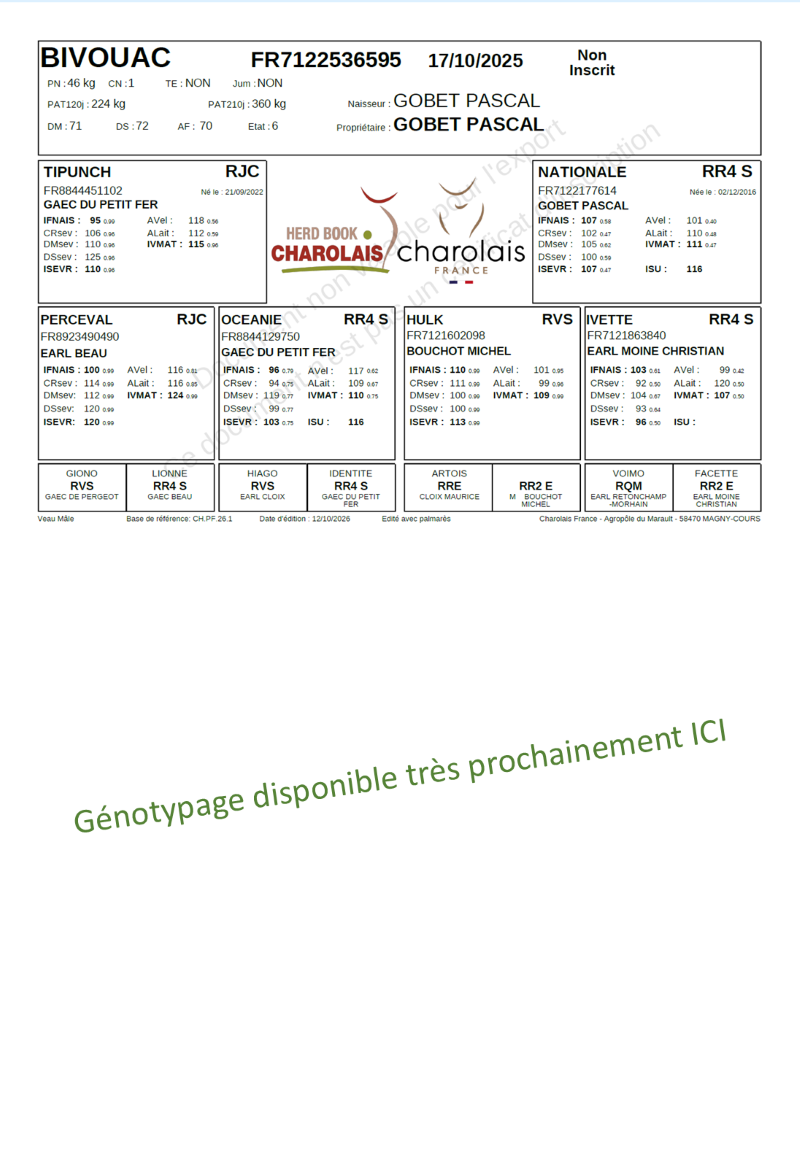 genealogie taureau charolais BIVOUAC   