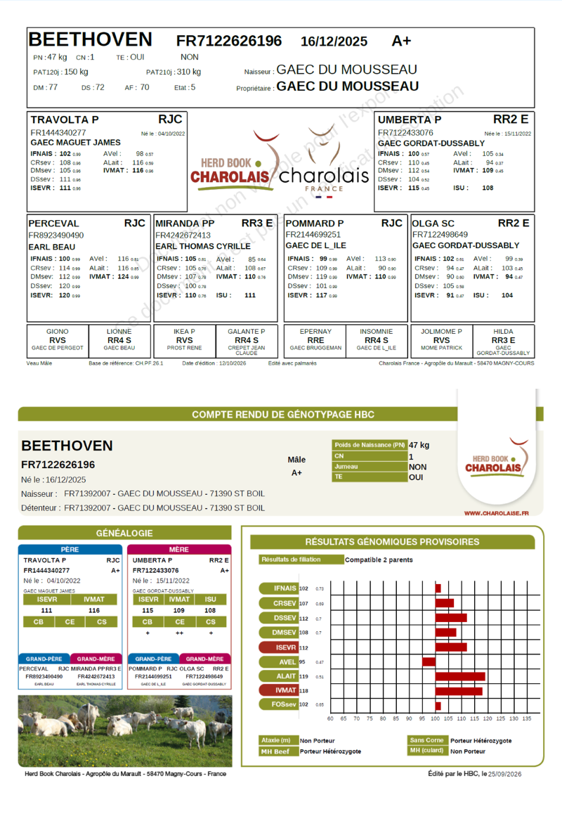 genealogie taureau charolais BEETHOVEN 