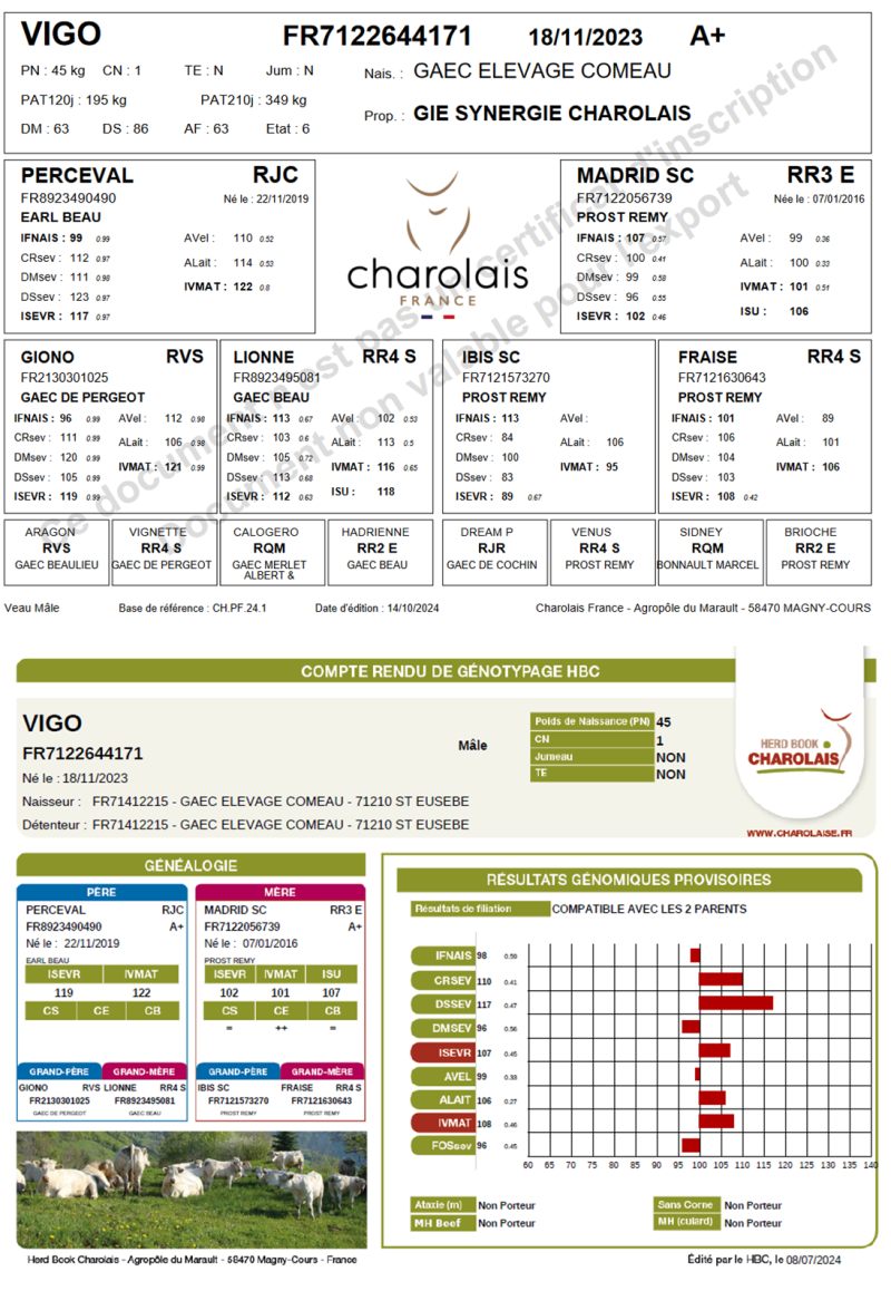 genealogie taureau charolais VIGO