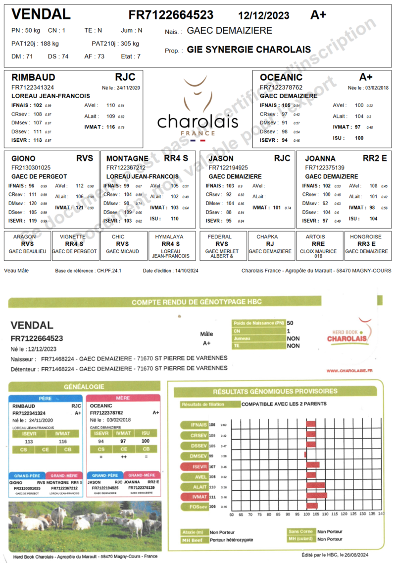 genealogie taureau charolais VENDAL