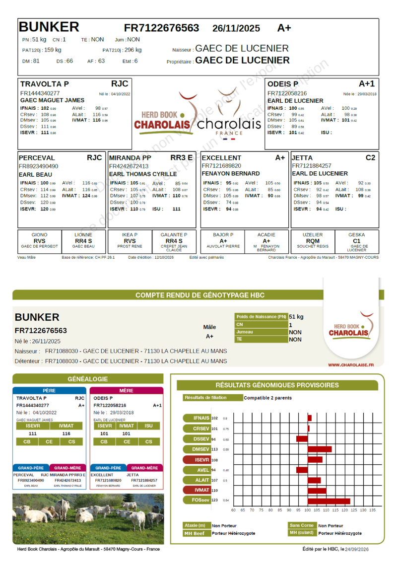 genealogie taureau charolais BUNKER    