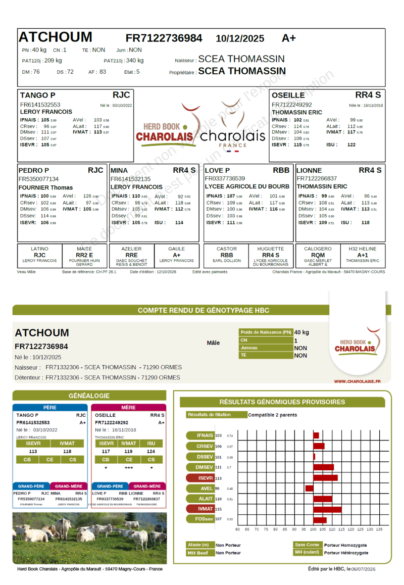 genealogie taureau charolais ATCHOUM   