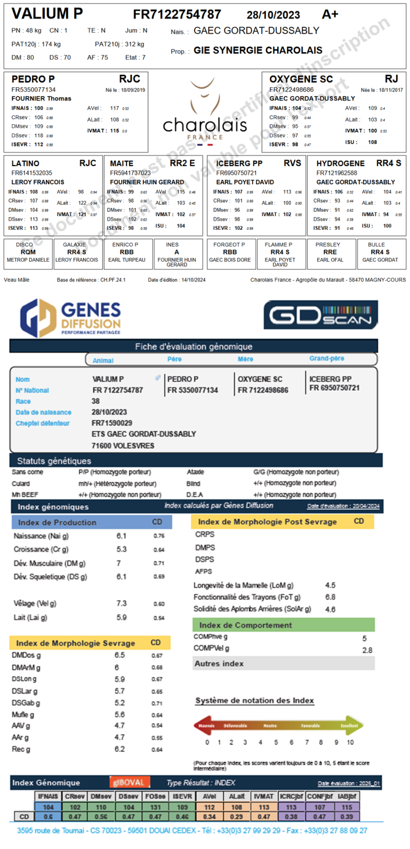 genealogie taureau charolais VALIUM P