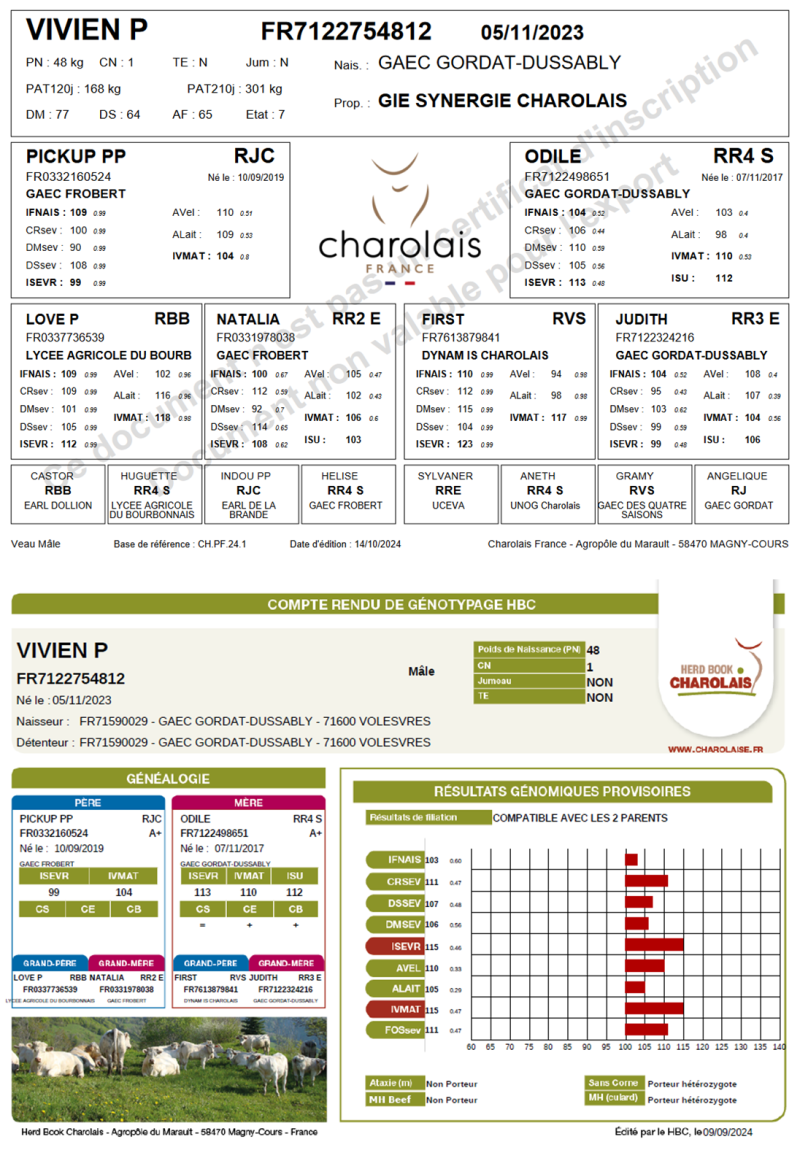 genealogie taureau charolais VIVIEN P